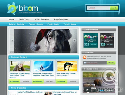 WPNow Bloom - Шаблон для WordPress