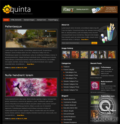 ThemeForest Quinta - Шаблон для WordPress